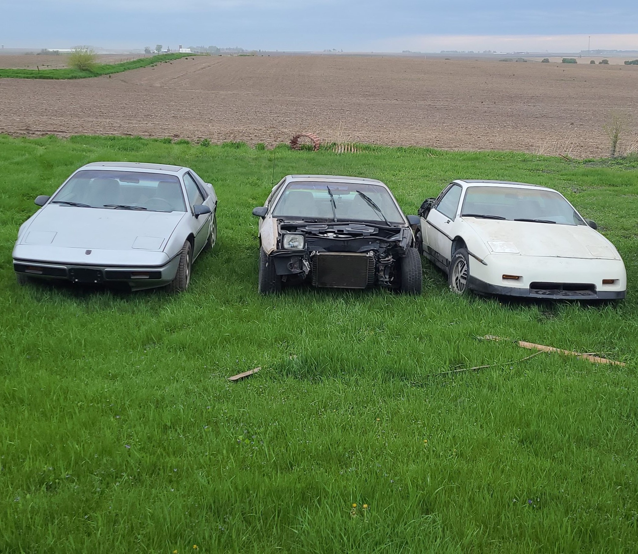 Silver Fiero, Gold Fiero, White Fiero