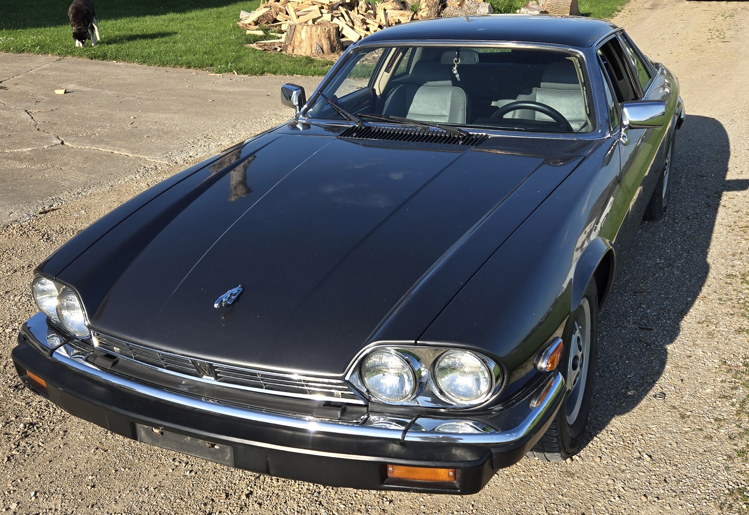 Silver Jaguar XJS